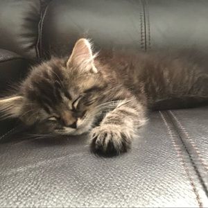 Meet your Posher, Madison